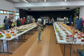 Une salle avec une exposition de pommes