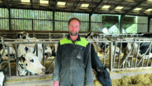 Un homme dans un bâtimentagricole avec des vaches au cornadis deriière