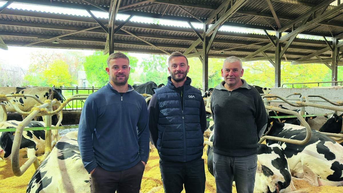 3 hommes debout devant des vaches en logettes - Illustration Système bouleversé, production améliorée