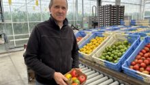 Une personne avec une barquette de tomate