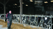 Un éleveur devant des vaches au cornadis