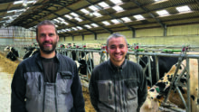 Des personnes devant un troupeau de vaches dans un bâtiment agricole