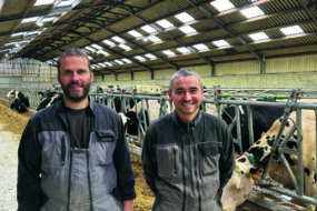 Des personnes devant un troupeau de vaches dans un bâtiment agricole