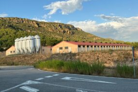 Un paysange de montagne ensoleillé avec un bâtiment d'élevage de porc et des silos à grain