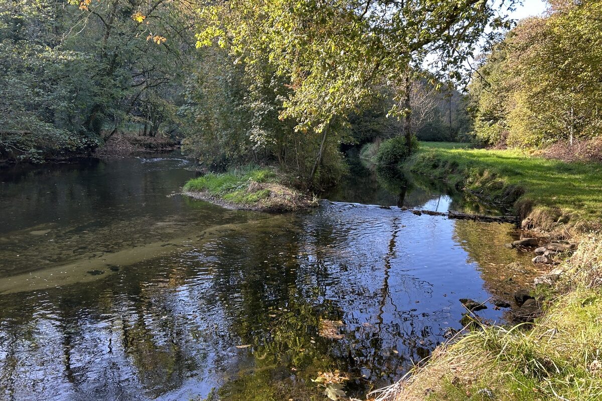 rivière bretonne en automne - Illustration Une dépollution coûteuse