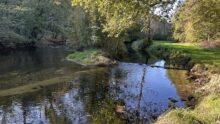 rivière bretonne en automne