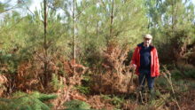 Un homme en forêt