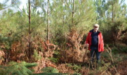 Un homme en forêt