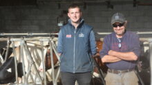 Deux personnes devant des vaches