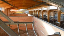Une aire de stockage de foin séché dans un bâtiment d'élevage face à l'aire d'alimentation des bovins