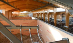 Une aire de stockage de foin séché dans un bâtiment d'élevage face à l'aire d'alimentation des bovins