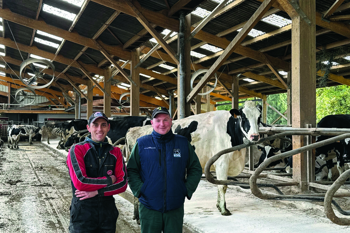 Deux hommes dans une étable de vaches laitières. - Illustration Esprit curieux et bâtiment ouvert