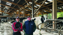 Deux hommes dans une étable de vaches laitières.
