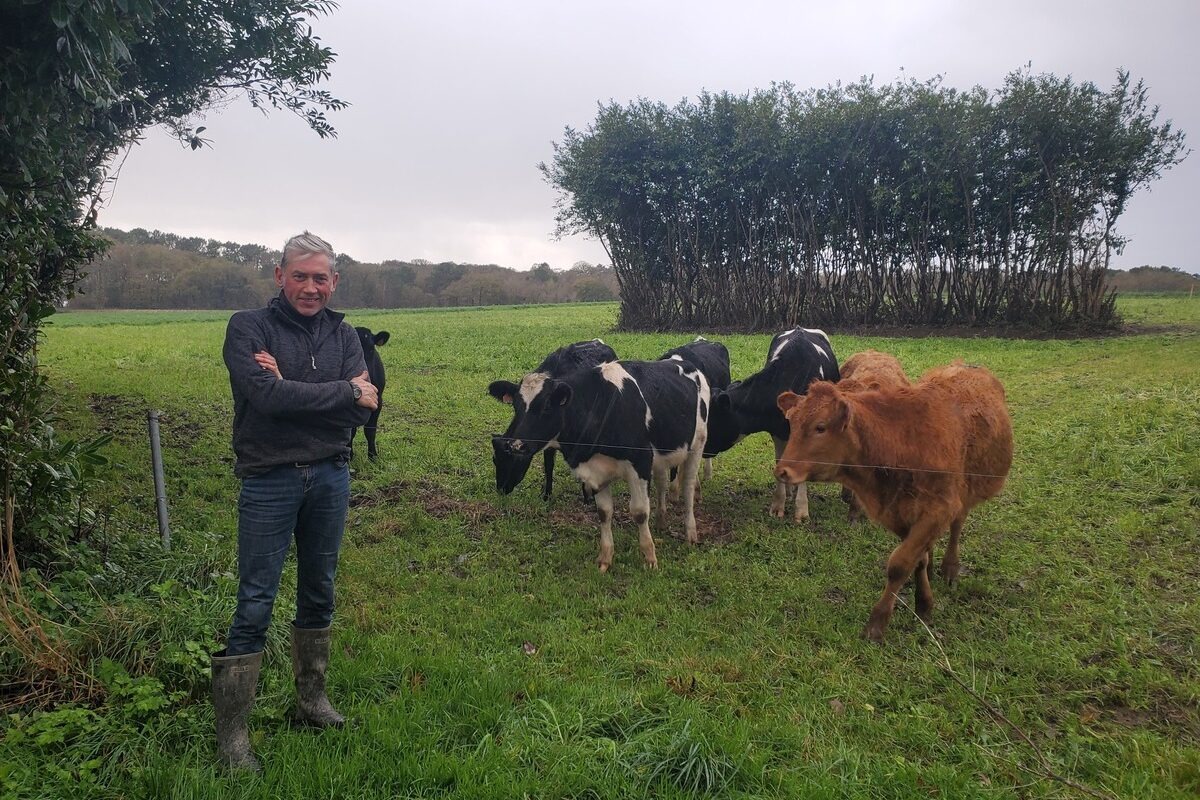 Un homme dans un champ avec des vaches derrière - Illustration Préparation à l’hiver après un bel automne herbager