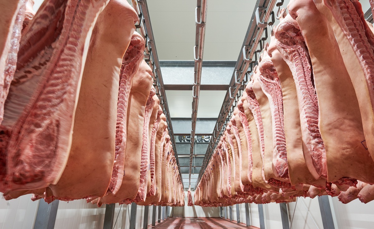 Carcasses de porc dans un abatooir - Illustration Un point de bascule ?