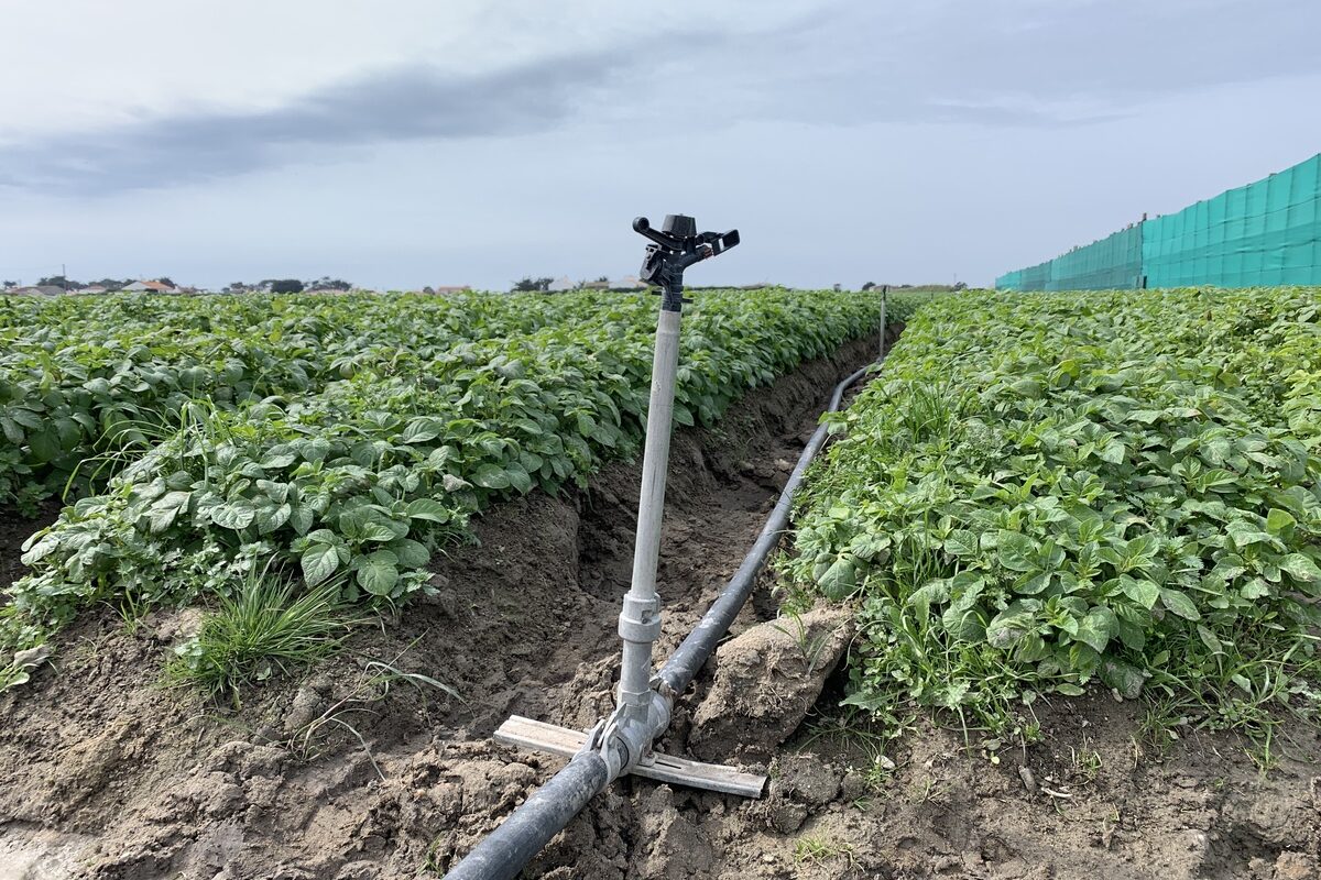 Système d'irrigation dans un champ de légumes - Illustration Après la loi Entraves, le plan de bataille des Irrigants