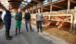 quatre hommes dans un bâtiment de bovins