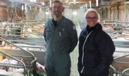 Un homme et une femme dans une maternité porcine
