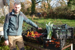 Un homme dans un champ devant des cageots en plastique avec des légumes
