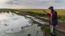 Un homme dans un champ de culture inondé parle au téléphone avec les bras au ciel