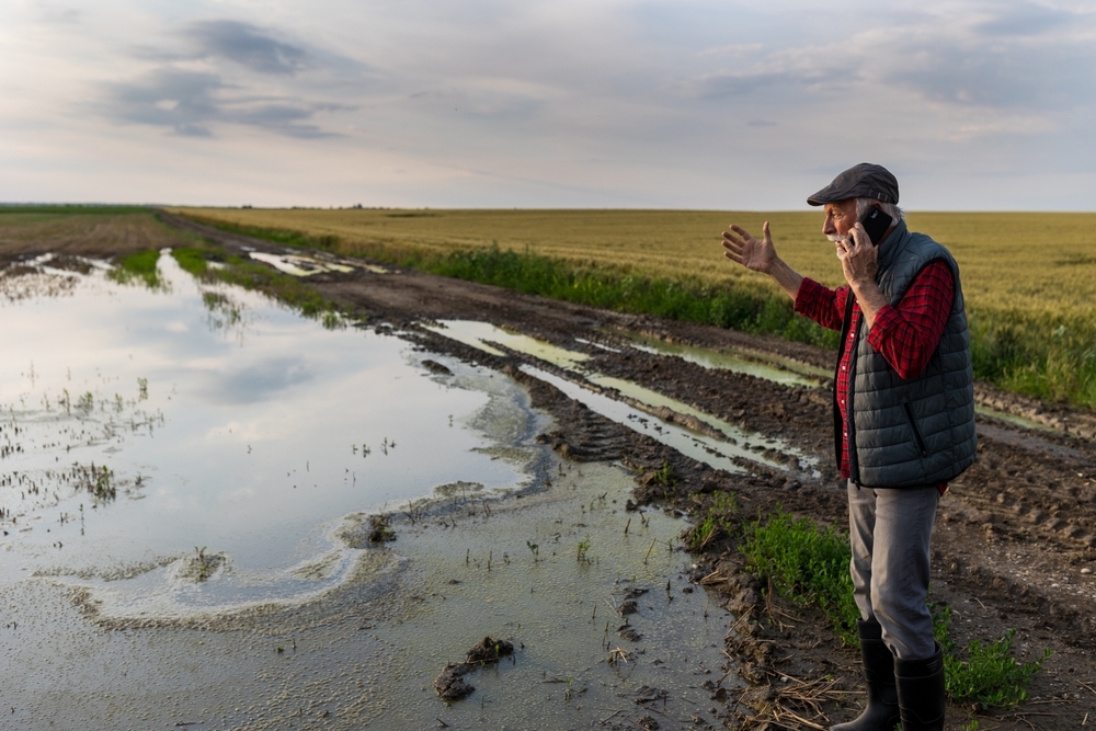 Un homme dans un champ de culture inondé parle au téléphone avec les bras au ciel - Illustration Inondations : comment rendre votre exploitation plus résiliente ?