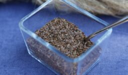 Graines de lin dans boite alimentaire
