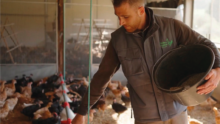 Un homme avec un seau dans la main nourrit des poules dans un bâtiment