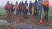 Un groupe de personnes en train de planter des haies