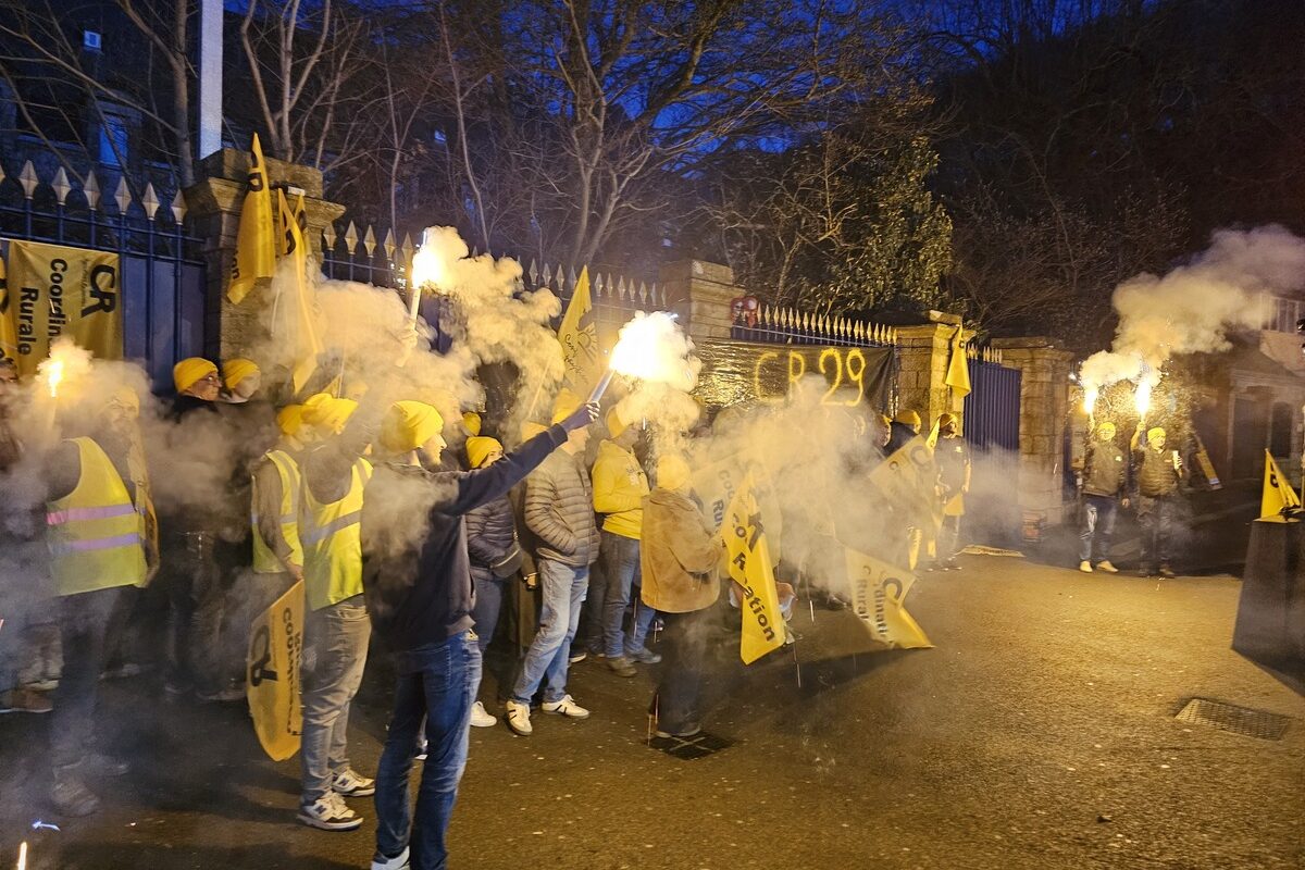 Des gens manifestent avec des fumigènes - Illustration Des avis divergents sur la DNC