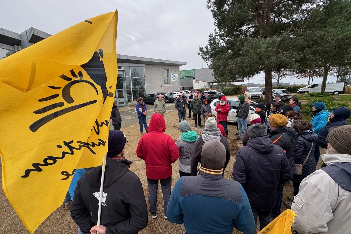 Un rassemblement de personne avec des drapeux de la Confédération Paysanne - Illustration La Conf’ veut préserver les bovins français avant les exportations