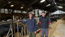 Deux hommes dans l'étable d'un élevage laitier