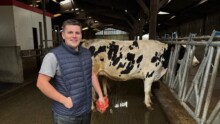Un inséminateur souriant dans un bâtiment d'élevage de vaches