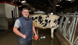 Un inséminateur souriant dans un bâtiment d'élevage de vaches