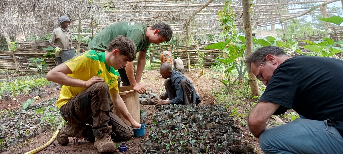 Des jeunes étudiants dans une pépinière - Illustration Des lycéens plantent des caféiers au Togo