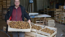 Une femme présente une caisse de kiwis