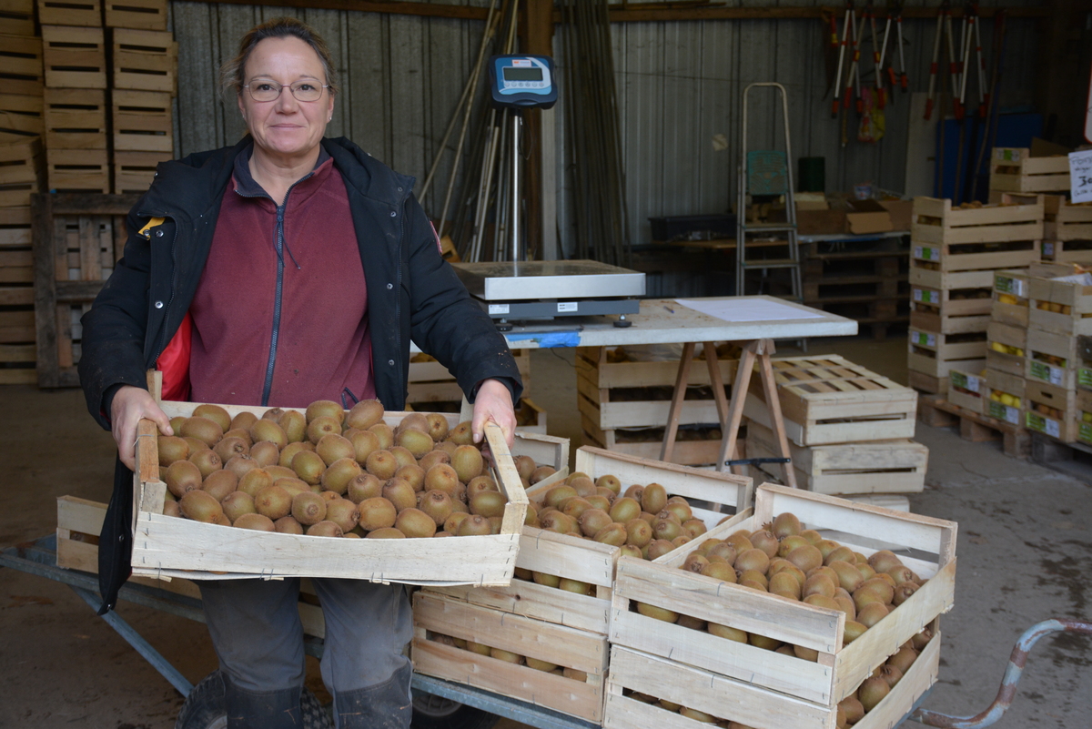 Une femme présente une caisse de kiwis - Illustration Pas de kiwis sans irrigation