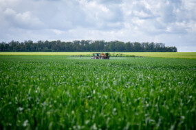 Un tracteur pulvérise dans un grand champ