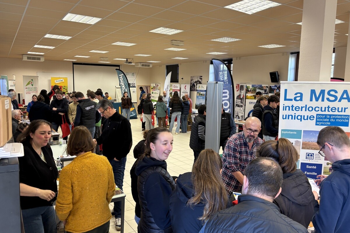 Des personnes dans une salle - Illustration Rencontrer  des professionnels