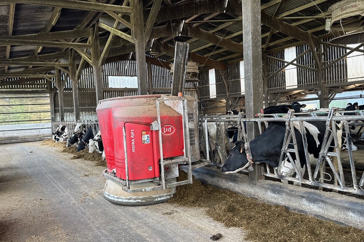 Un robot d'alimentation Lely en train de distribuer une ration à des vaches laitières de race Holstein.  - Illustration Un robot d’alimentation  plutôt qu&rsquo;une automotrice