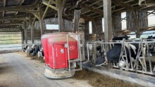 Un robot d'alimentation Lely en train de distribuer une ration à des vaches laitières de race Holstein.