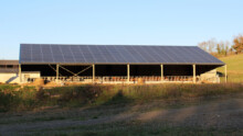 Un bâtiment d'élevage bovin avec une couverture en panneaux photovoltaïques
