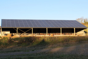 Un bâtiment d'élevage bovin avec une couverture en panneaux photovoltaïques