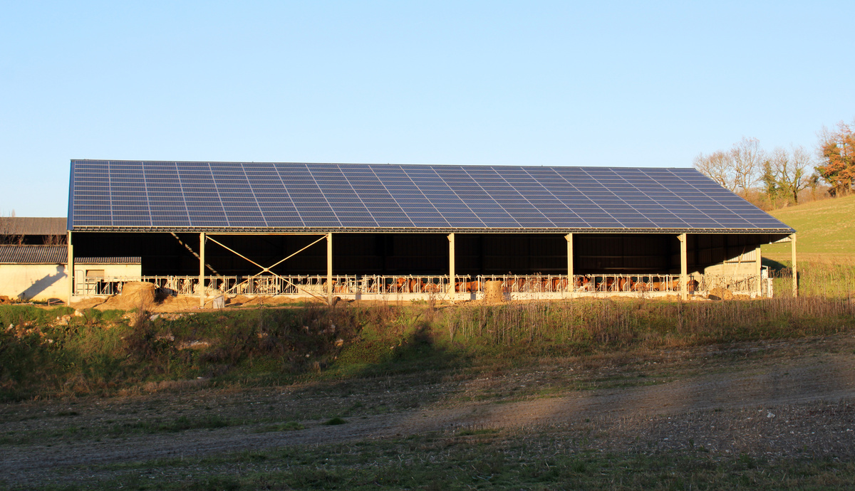 Un bâtiment d'élevage bovin avec une couverture en panneaux photovoltaïques - Illustration PPE : quel avenir pour les renouvelables ?
