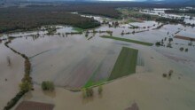 Vur aérienne de champ totalement innondés