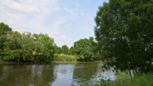 Une grande rivière paisible entourée d'arbre et de champs