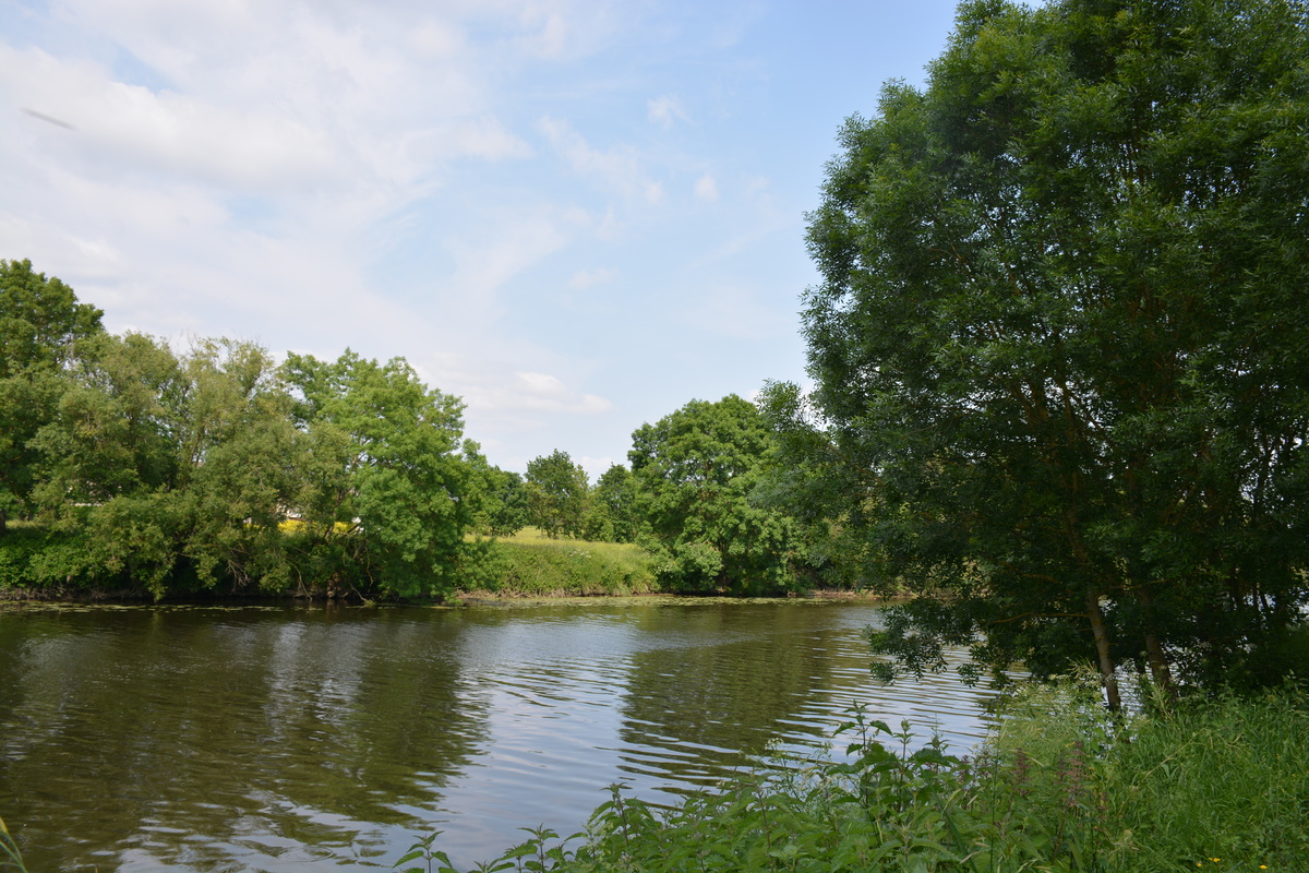 Une grande rivière paisible entourée d'arbre et de champs - Illustration « Être là pour ramener le bon sens »