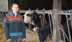 Une femme devant des vaches au cornadis dans un bâtiment d'élevage bovin