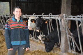 Une femme devant des vaches au cornadis dans un bâtiment d'élevage bovin