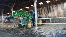 Un tracteur et une dérouleuse-pailleuse en fonctionnement dans une stabulation