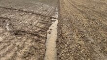 Erosion due à la pluie dans un champ